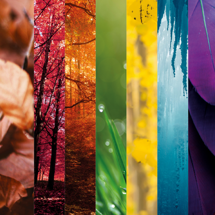 Colour Panels